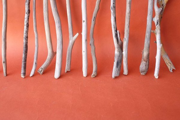 画像6: 小枝流木セット (6)