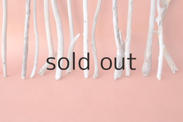 画像6: 小枝流木セット (6)