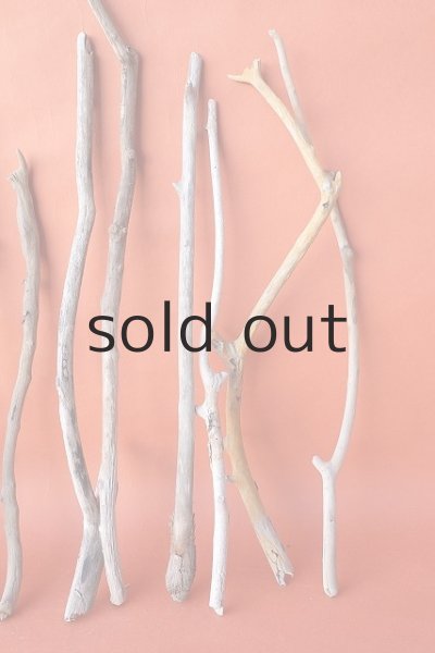 画像5: 小枝流木セット (5)