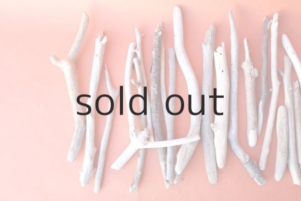 画像2: 小枝流木セット (2)