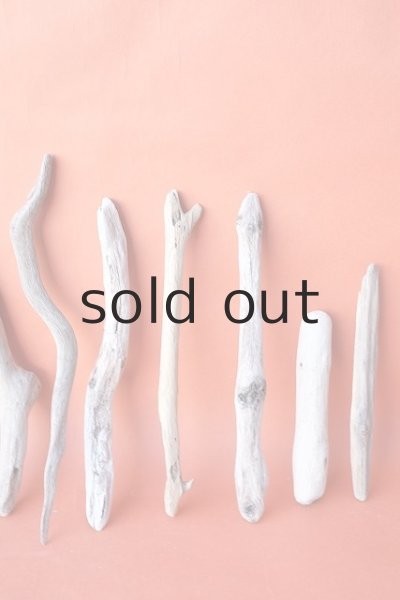 画像4: 小枝流木セット (4)