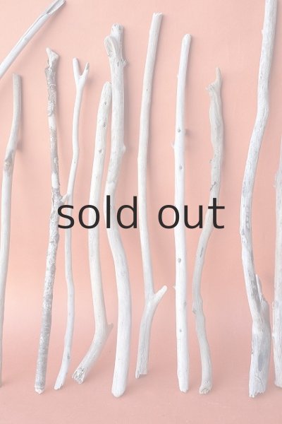 画像3: 小枝流木セット (3)