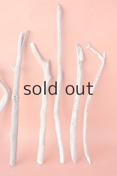 画像5: 小枝流木セット (5)