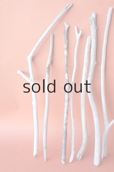 画像2: 小枝流木セット (2)