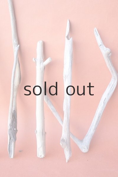 画像3: 小枝流木セット (3)