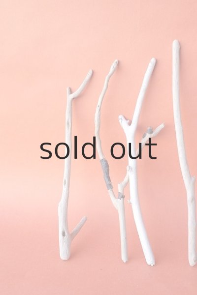 画像2: 小枝流木セット (2)