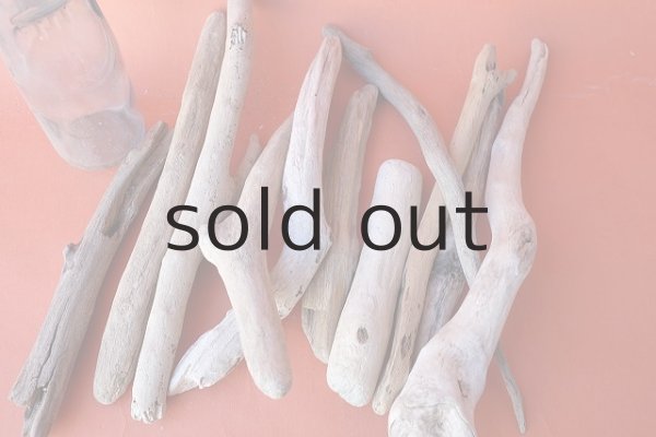 画像6: 小枝流木セット (6)