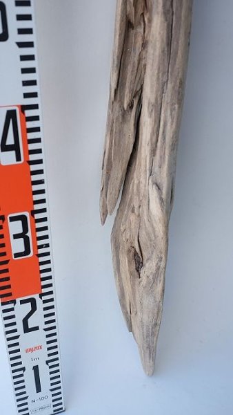 画像10: 変形流木・中型 (10)