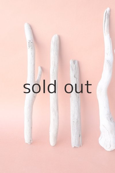 画像2: 小枝流木セット (2)