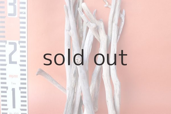 画像6: 小枝流木セット (6)