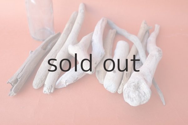 画像5: 小枝流木セット (5)