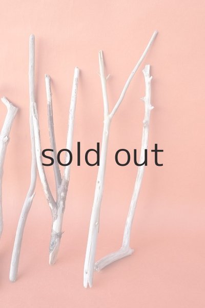 画像4: 小枝流木セット (4)