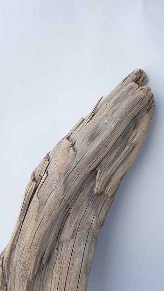 画像3: 変形流木 (3)