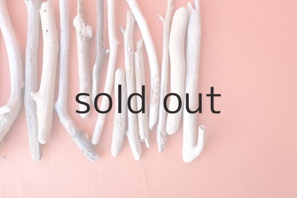 画像4: 小枝流木セット (4)