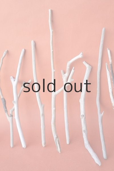 画像3: 小枝流木セット (3)