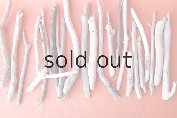 画像3: 小枝流木セット (3)