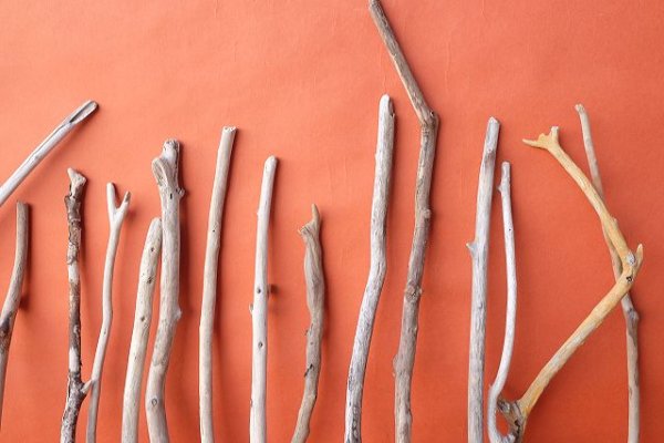 画像7: 小枝流木セット (7)