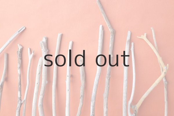 画像7: 小枝流木セット (7)