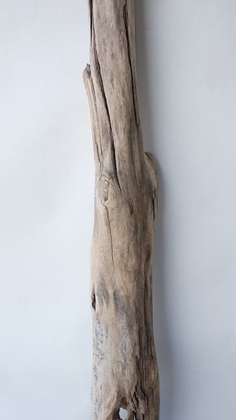 画像3: 変形流木・中型 (3)