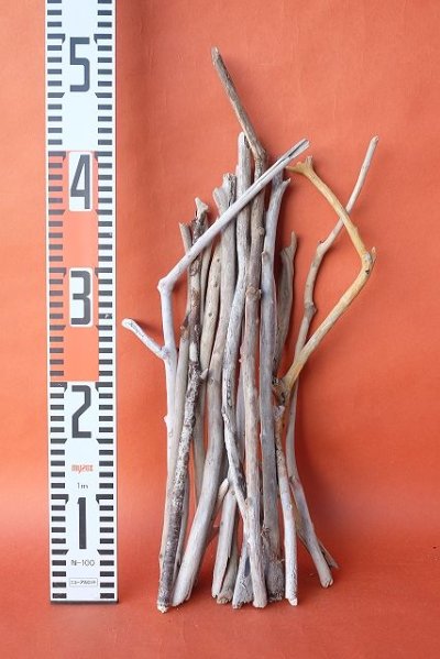 画像3: 小枝流木セット