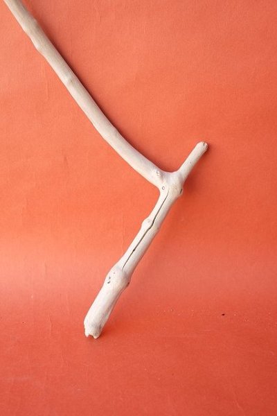 画像2: 小枝流木 (2)