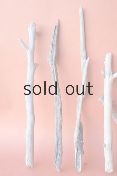 画像2: 小枝流木セット (2)