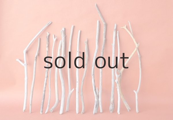 画像1: 小枝流木セット (1)