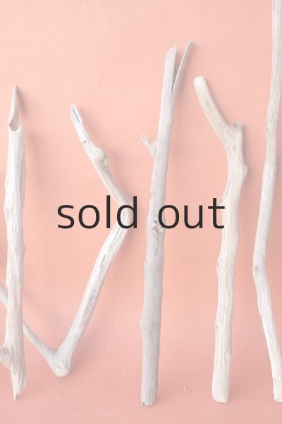 画像4: 小枝流木セット (4)