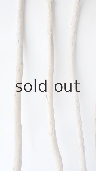 画像5: 棒流木セット (5)