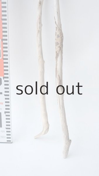 画像6: 枝流木セット (6)