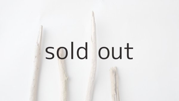 画像4: 棒流木セット (4)