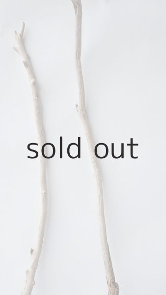 画像4: 枝流木セット (4)