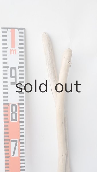 画像8: 棒流木セット (8)