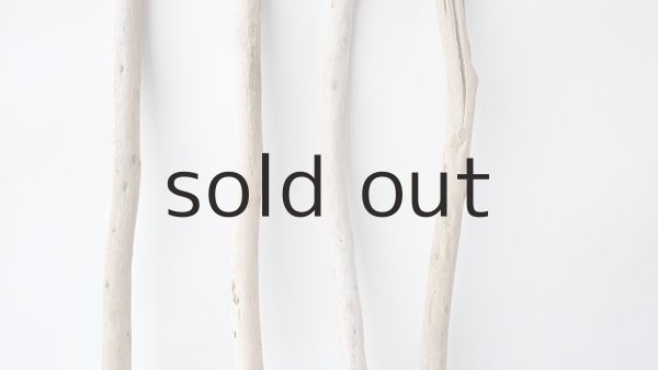 画像3: 棒流木セット (3)