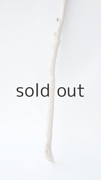 画像3: 枝流木セット (3)