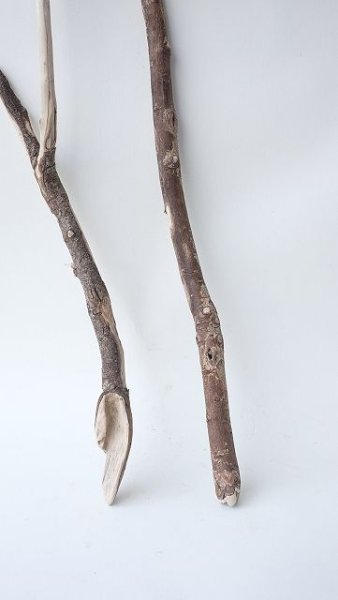 画像2: 枝流木セット (2)