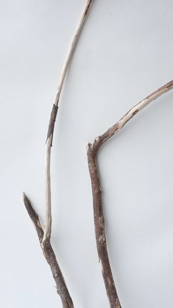 画像3: 枝流木セット (3)