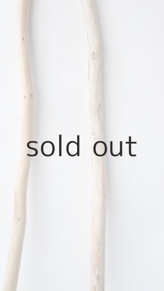 画像4: 棒流木セット (4)