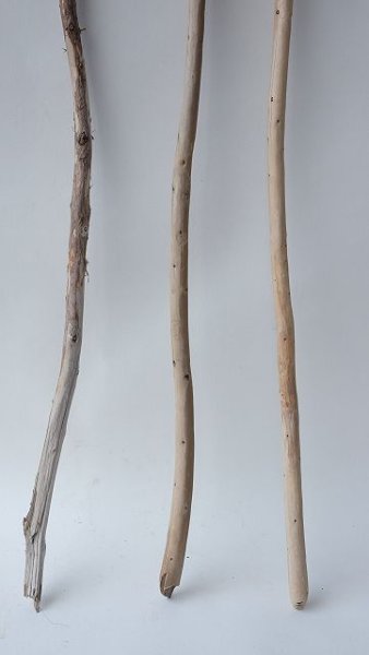 画像2: 棒流木セット (2)