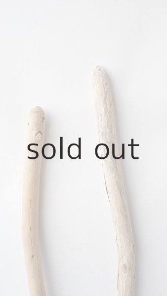 画像5: 棒流木セット (5)