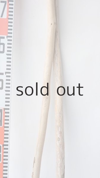 画像7: 棒流木セット (7)