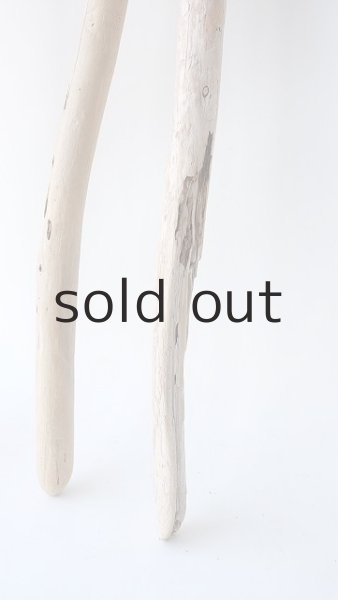 画像6: 棒流木セット (6)