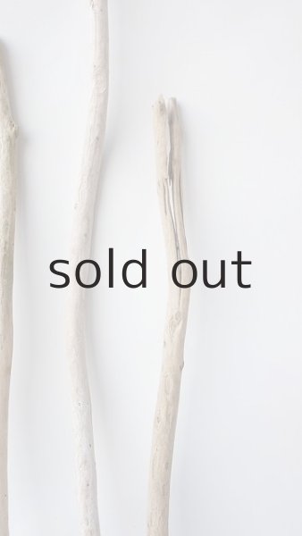 画像6: 棒流木セット (6)