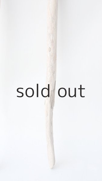 画像2: 棒流木セット (2)