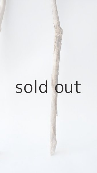 画像2: 枝流木セット (2)