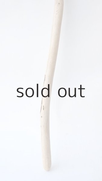 画像3: 棒流木セット (3)