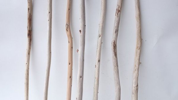 画像3: 棒流木セット (3)