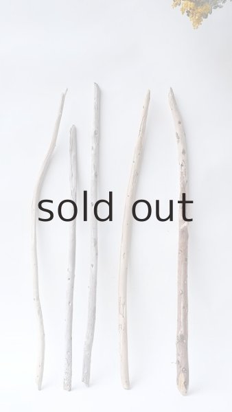 画像1: 棒流木セット (1)