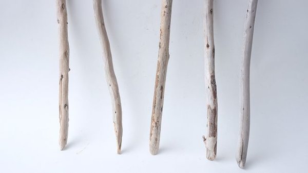 画像2: 棒流木セット (2)