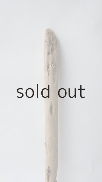 画像3: 棒流木 (3)